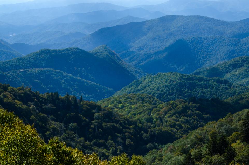 Nantahala National Forest | Shutterbug